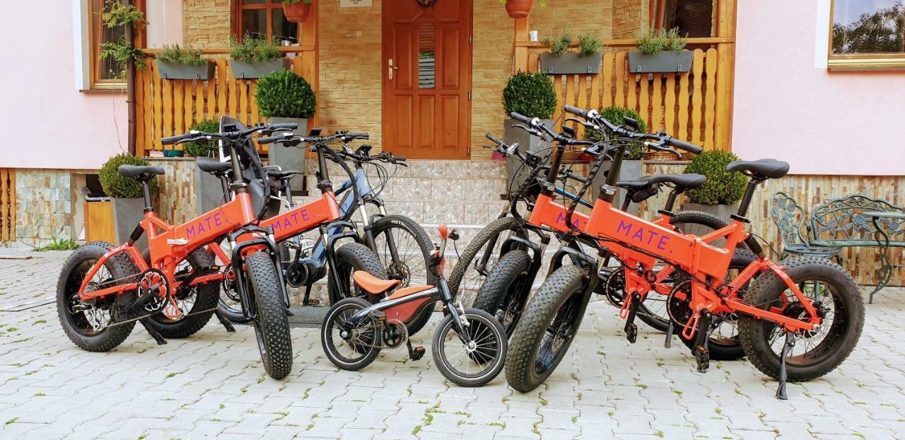 Villa Dumbierka - B&B, Wellness, Brewery, Ebikes Mýto pod Ďumbierom Dış mekan fotoğraf